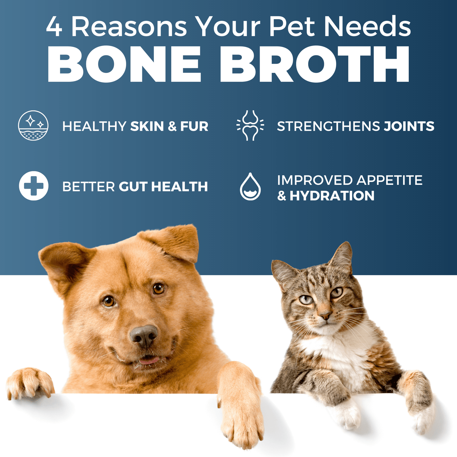 Best Bone Broth - UK Liquid Beef Bone Broth for Pets